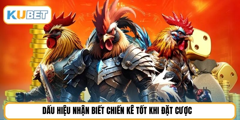 Dấu hiệu nhận biết chiến kê tốt khi đặt cược