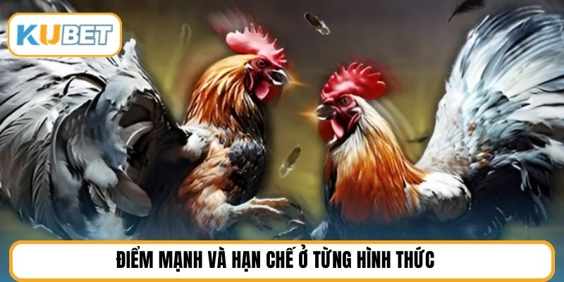 Điểm mạnh và hạn chế ở từng hình thức 